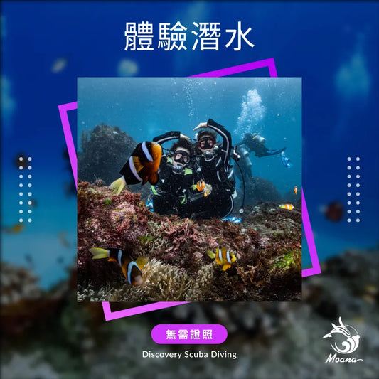 DSD 體驗 水肺潛水（無需證照）