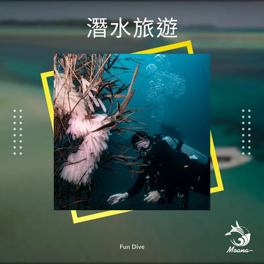 FunDive 潛水旅遊（需有證照）