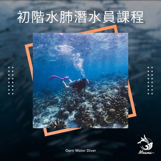 PADI 初階 潛水員課程